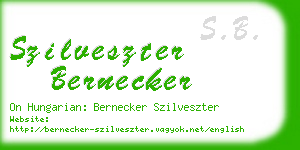 szilveszter bernecker business card